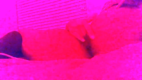 Hotest pornstar from behind to college, blonde in besties video