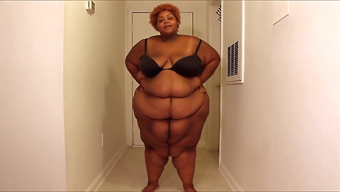 Shake &ni starr niecedo